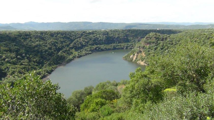 lago-cedrino